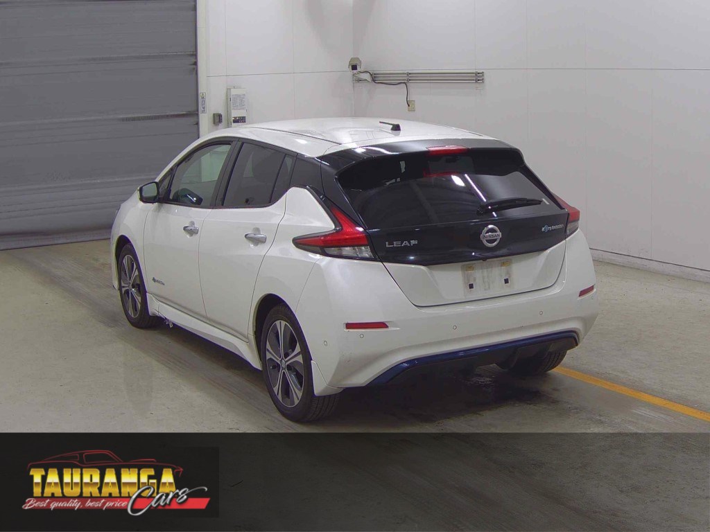 2019 Nissan Leaf