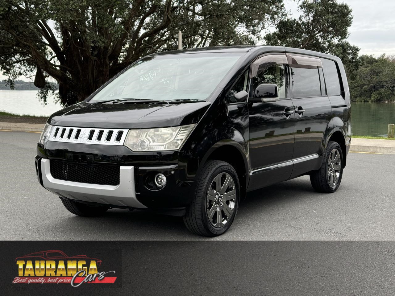 2013 Mitsubishi DELICA