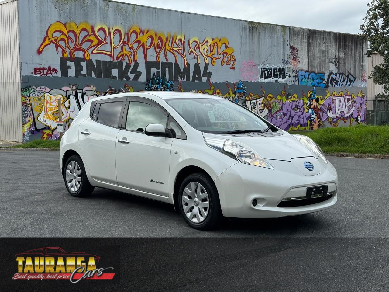 2014 Nissan Leaf