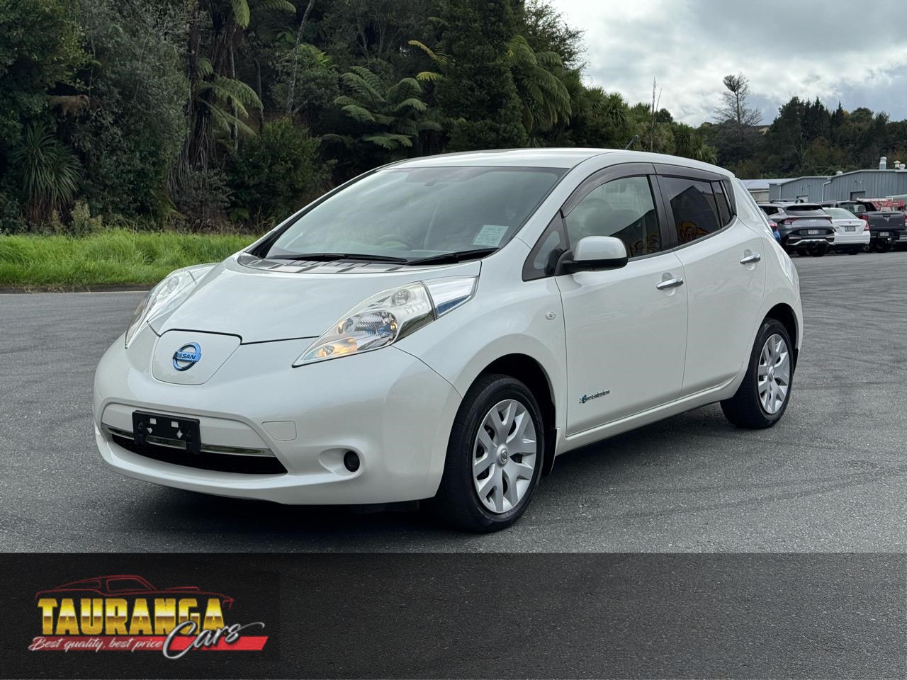 2014 Nissan Leaf
