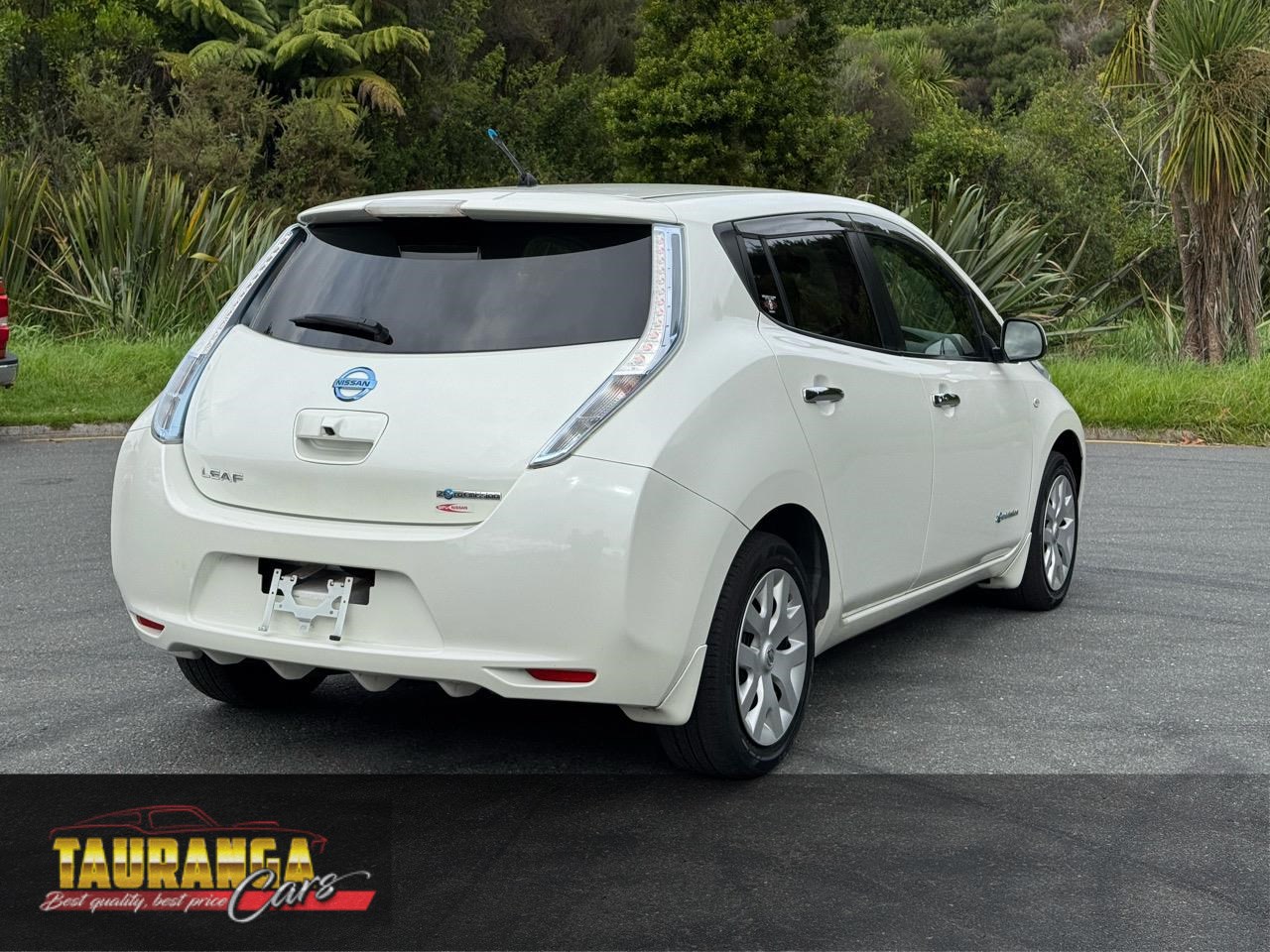 2014 Nissan Leaf